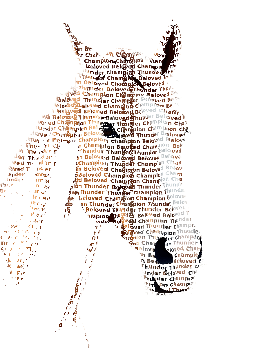 Custom Horse Typography Portrait example