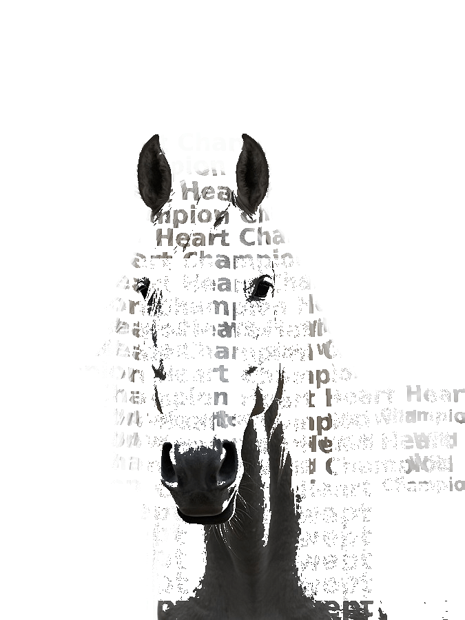Custom Horse Typography Portrait — Equestrian Word Art