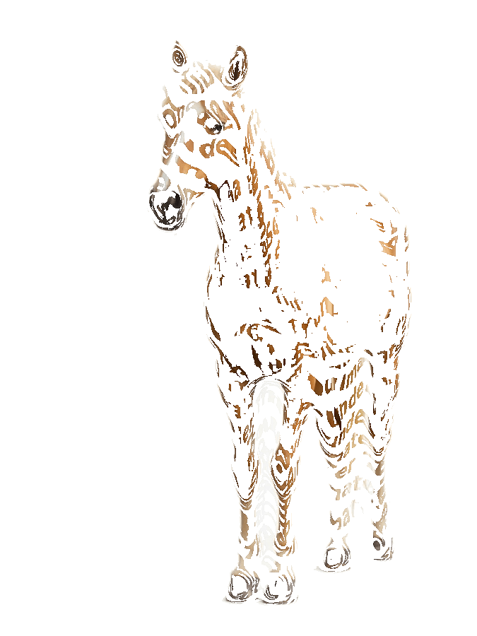 Custom Horse Typography Portrait example