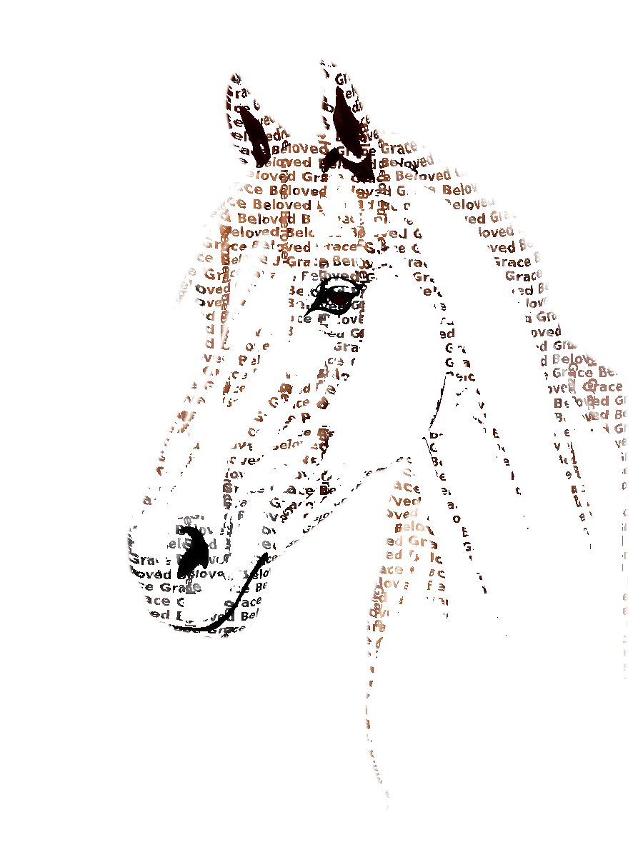 Custom Horse Typography Portrait — Equestrian Word Art