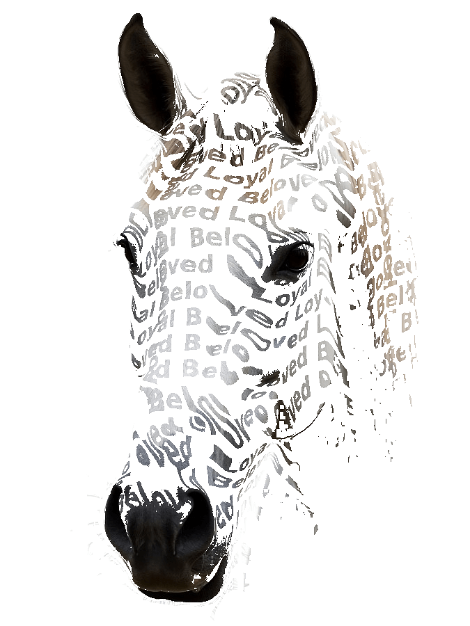 Custom Horse Typography Portrait example