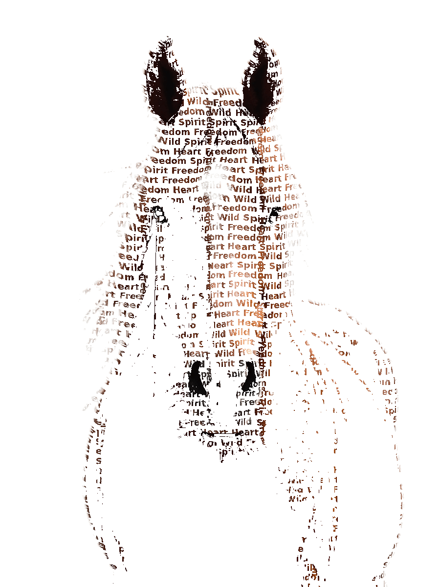 Custom Horse Typography Portrait example