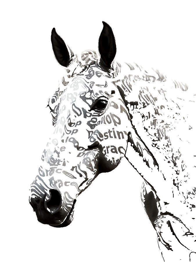 Custom Horse Typography Portrait — Equestrian Word Art