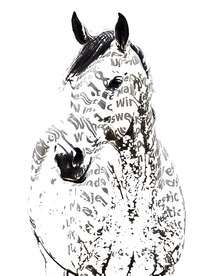 Custom Horse Typography Portrait — Equestrian Word Art