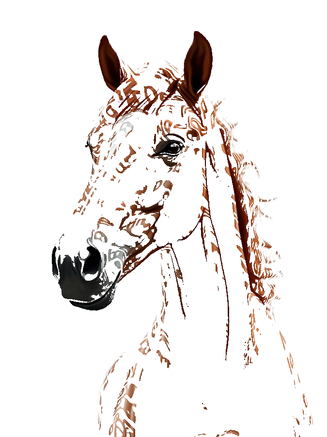Custom Horse Typography Portrait — Equestrian Word Art