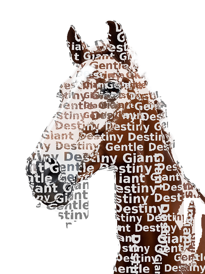 Custom Horse Typography Portrait — Equestrian Word Art