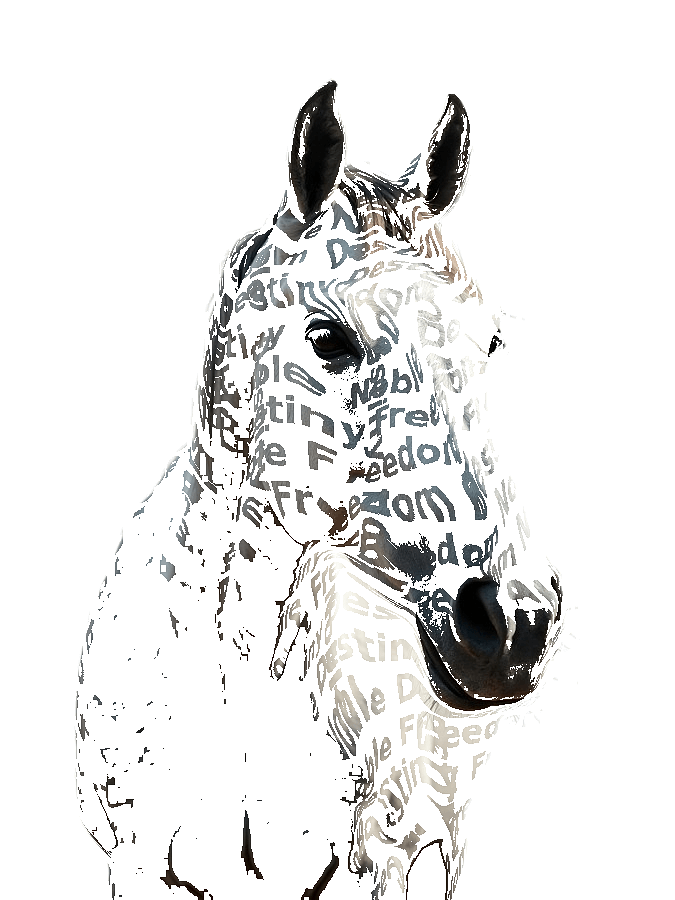 Custom Horse Typography Portrait — Equestrian Word Art