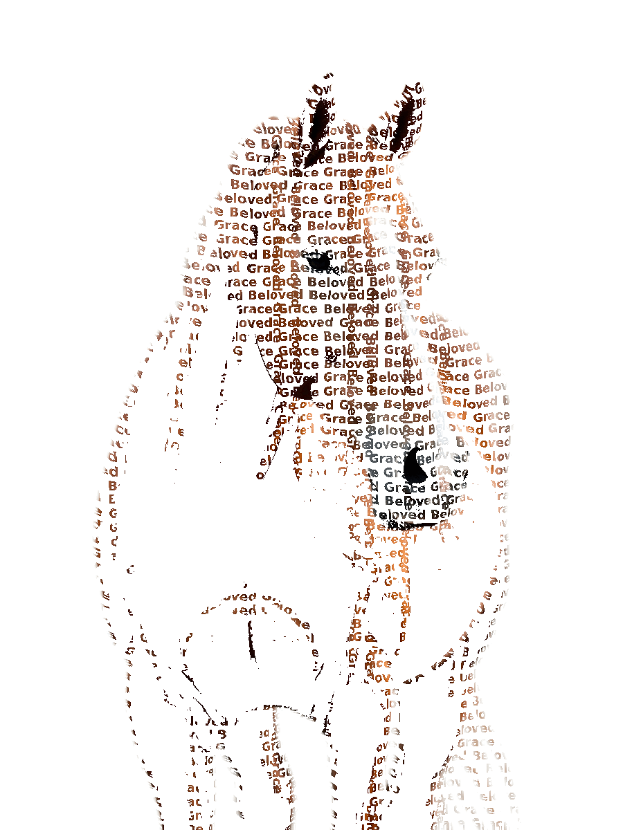 Custom Horse Typography Portrait — Equestrian Word Art