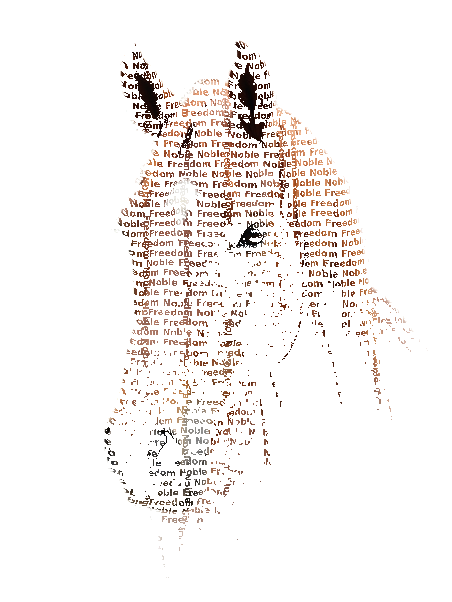 Custom Horse Typography Portrait — Equestrian Word Art