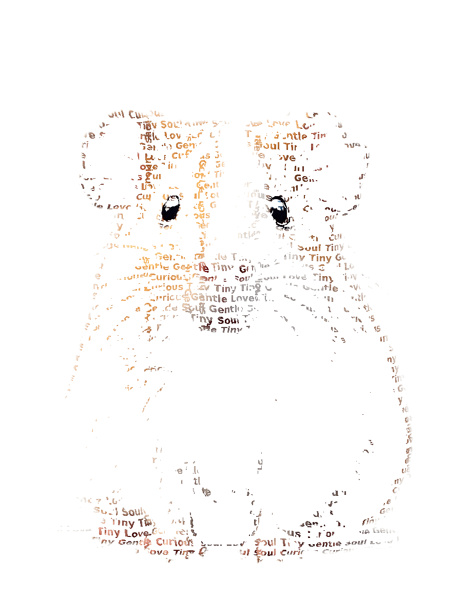 Custom Pet Typography Portrait example