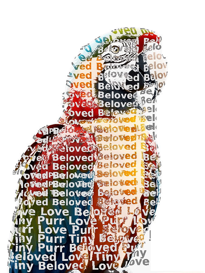 Custom Pet Typography Portrait — Personalized Word Art