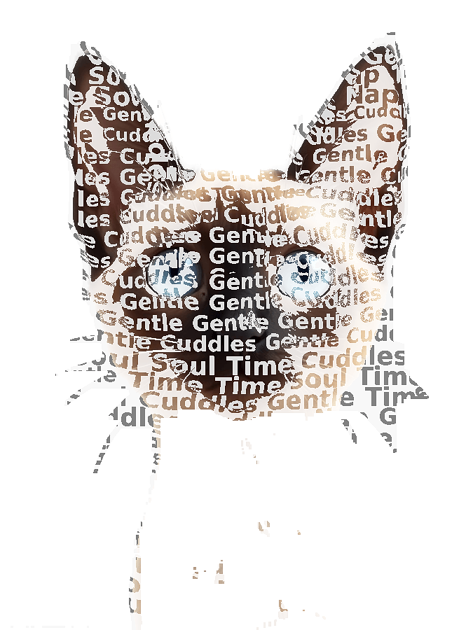 Custom Pet Typography Portrait — Personalized Word Art