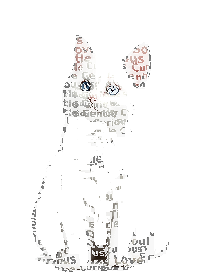 Custom Pet Typography Portrait — Personalized Word Art
