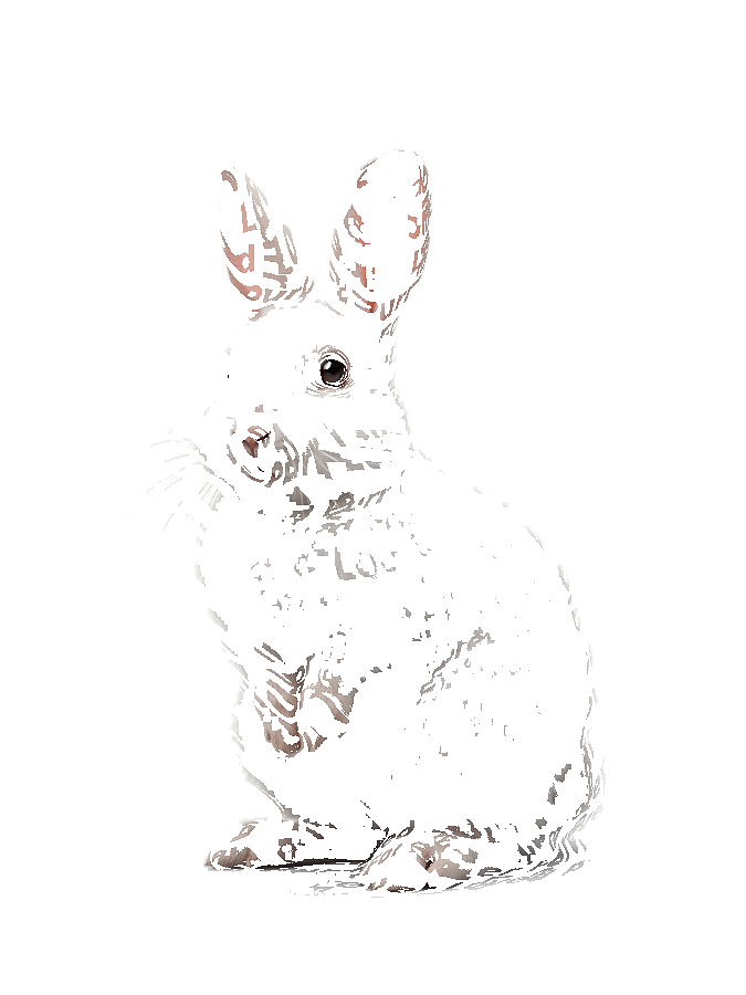 Custom Pet Typography Portrait example