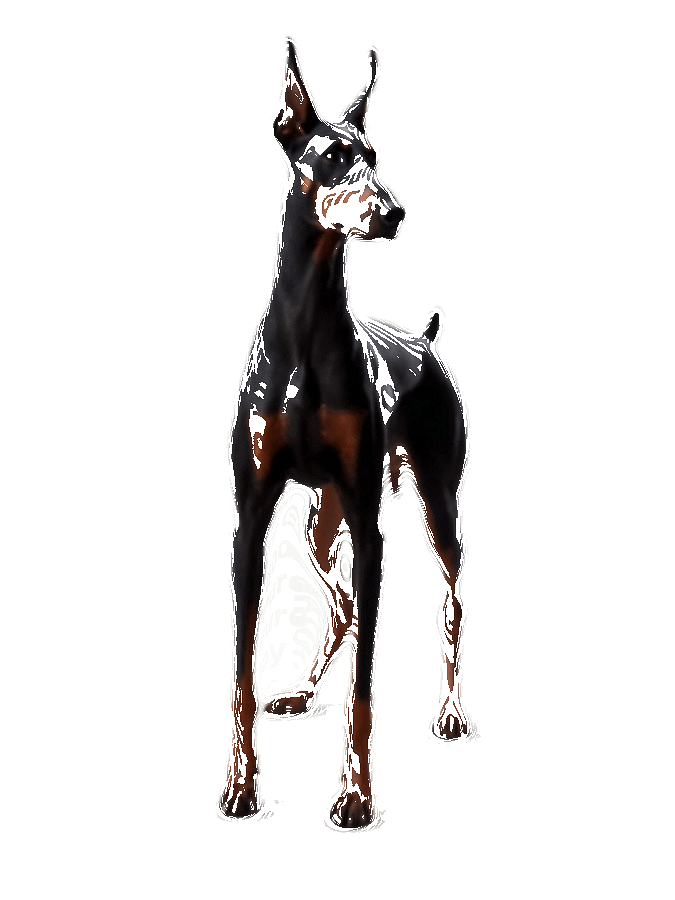 Custom Typography Portrait — Custom Dog Word Art