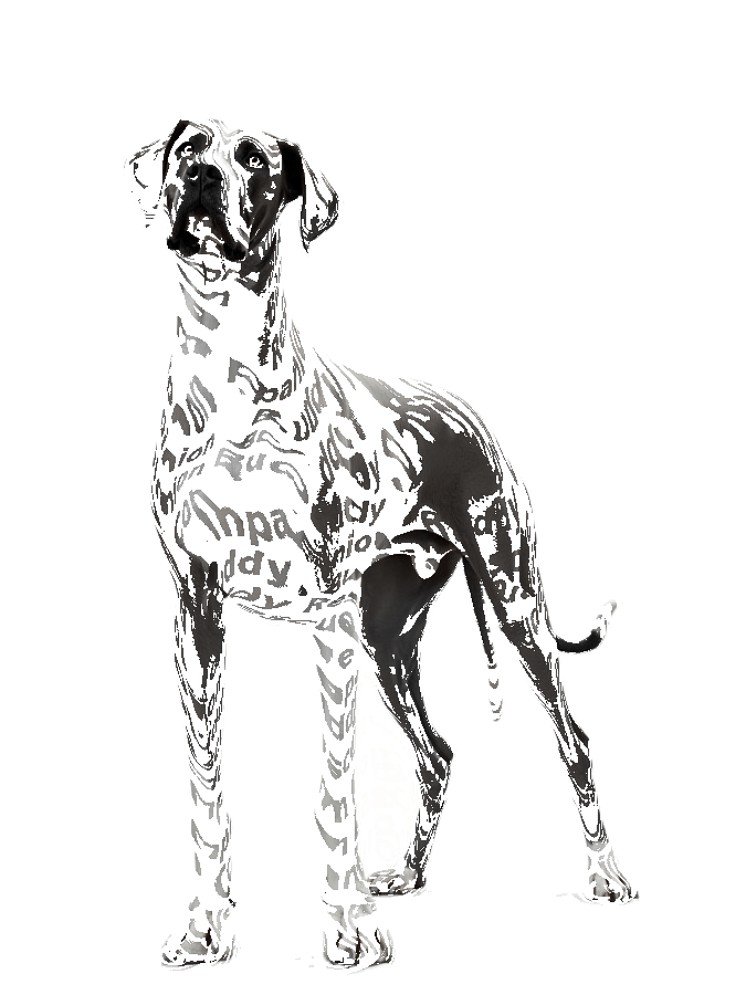 Custom Typography Portrait — Custom Dog Word Art