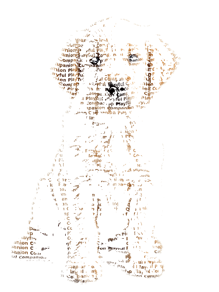 Golden Retriever Typography Portrait — Custom Dog Word Art