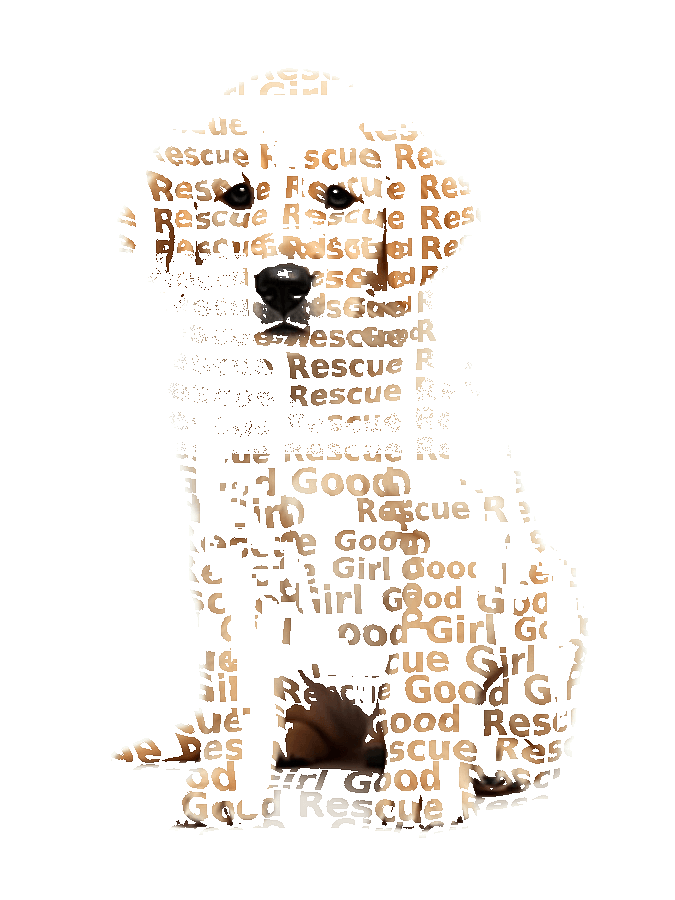 Golden Retriever Typography Portrait — Custom Dog Word Art